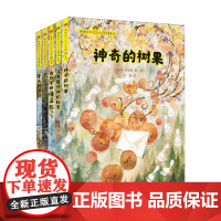 神秘森林奇幻系列 全五册 7-14岁 冈田淳 著 儿童文学