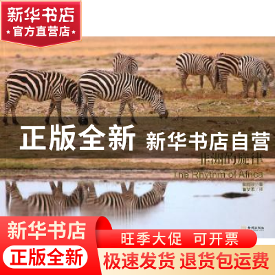 正版 非洲的旋律 李艳玲著 金城出版社 9787802518292