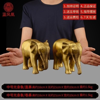 美帮汇铜大象摆件一对吸水象铜象工艺品店铺客厅大号 中号铜吸水象一对