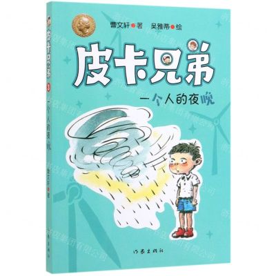 [N]一个人的夜晚/皮卡兄弟-9787521204933