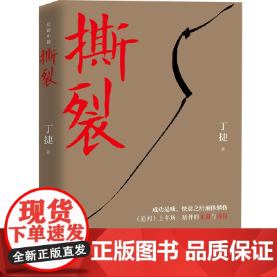 [全新正版]撕裂(著名作家丁捷继《初心》后最新文化反腐力作,以前所未有的诚恳,近距离逼视腐败真相。) 中国文联出版社