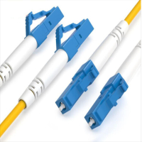 光为视讯 单模尾纤 LC-LC2米 根