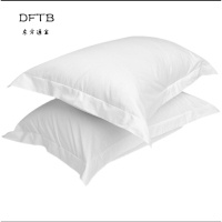 DFTB 枕袋 0.48m*0.78m 条