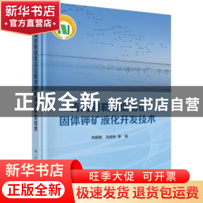 正版 青海别勒滩低品位固体钾矿液化开发技术(精) 焦鹏程,刘成林