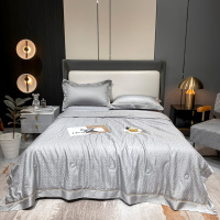 天山柔 200*230cm 60天丝提花桑蚕丝 夏被 (计价单位:床) 多色