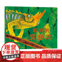 聪明的变色龙爱心树硬壳精装绘本图画书凯特格林威大奖人生哲理认识热带动物提升阅读兴趣感受智慧的力量3岁以上亲子阅读正版童书