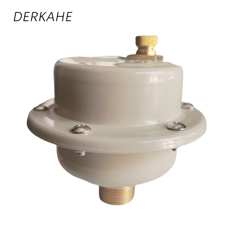 DERKAHE 排气阀 B725X-6C DN20 个