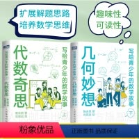 [正版]代数奇思+几何妙想 写给青少年的数学故事套装 小学生五六年级初高中数学思维训练分析中学生课外科普读物 读故事学