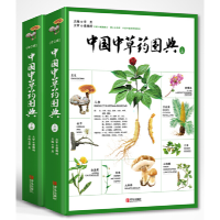 音像中国草图典(全2册)李勇