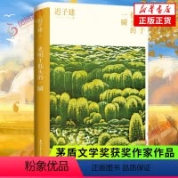 [正版]光明于低头的一瞬 迟子建散文典藏系列 茅盾文学奖得主迟子建散文自选集 现近代文学散文随笔 凤凰书店 书籍
