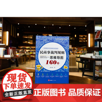 正版 民商事裁判规则思维导图160例 全彩印刷 诉讼可视化 董向阳 著 法律出版社