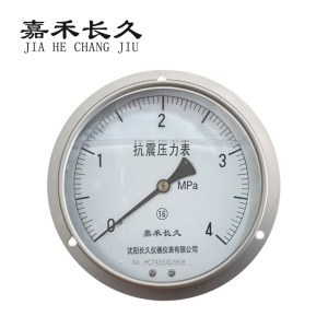 嘉禾长久 耐震压力表轴向带边检测型 YTN150ZT 块
