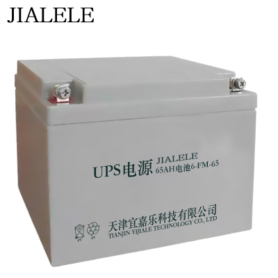 JIALELE UPS电源蓄电池 BT-12M17AC 块