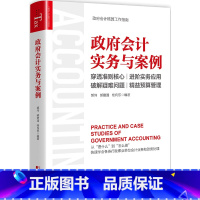 [正版]书籍政府会计实务与案例