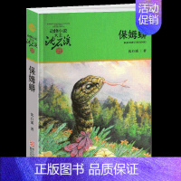 保姆蟒 [正版]双面猎犬沈石溪小学四年级五年级全集全套书浙江少年儿童出版社非注音版完整版动物小说大王品藏书系小学生课外阅