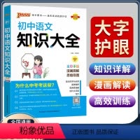 初中语文知识大全 初中通用 [正版]2024初中物理知识大全初二初三物理参考书导资料书八年级九年级物理基础知识点总结清单