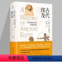[正版]古代埃及从原初时代到波斯征服 讲述埃及四千年的文明史古代埃及的艺术遗址神庙 纪念建筑和语言古埃及历史故事阅读书