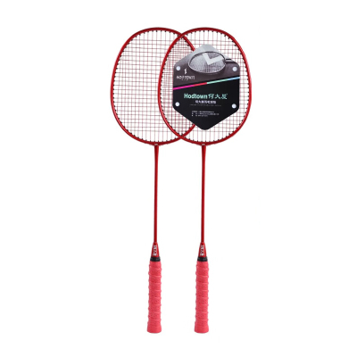 Hodtown 何大屋常胜将军羽毛球拍 HDW1315