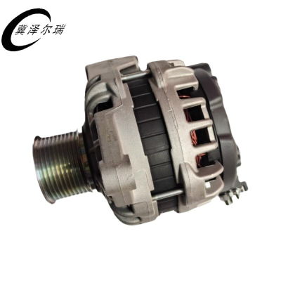 冀泽尔瑞 发电机总成 JZER - WP-FDJ 个