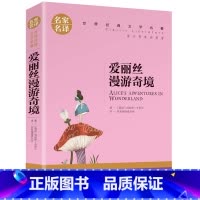 爱丽丝漫游奇境 [正版]5本25元傲慢与偏见原着原版 初中高中小学生课外阅读书籍小说 青少年名著书籍 成人阅读名著书籍名
