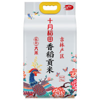 十月稻田(SHIYUEDAOTIAN) 香稻贡米5kg