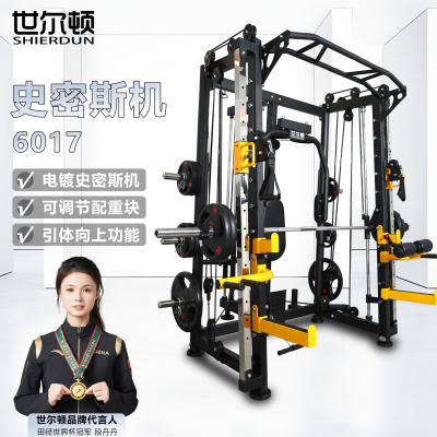 世尔顿(SHIERDUN) 史密斯机 SED-6017 台