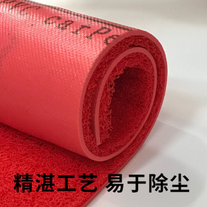 美帮汇可裁剪丝圈地毯地垫入户厅客厅垫加厚防滑pvc脚垫子