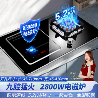 欢呼好太太 [2800W+铜盖]气电灶电磁炉煤气灶二合一电一气两用灶嵌入式一体燃气灶双灶双眼灶天然气灶A017