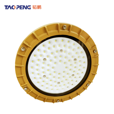 韬鹏 防爆工矿灯 NMGKD-70W 个