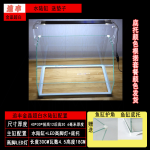 金晶水陆缸水陆鱼缸 植物造景缸 微景观斜口缸 乌龟缸超白缸