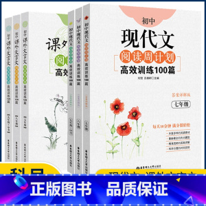 课外文言文阅读120篇 九年级/初中三年级 [正版]初中课外文言文现代文阅读周计划高效训练120篇七年级八年级九年级10