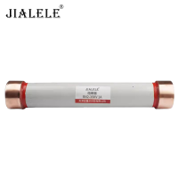JIALELE 熔断器 RN2-35KV 1A 根