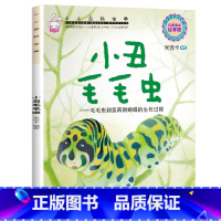 小小百科宝典-[小丑毛毛虫] [正版]小小百科宝典全套20册儿童绘本3一6 4-5岁学前班幼儿园绘本亲子阅读幼儿科学科普