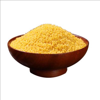 黄小米陕北2021新米杂粮米脂5斤孕妇坐月子米粥米油