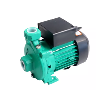 盛京路龙博 管道泵 PUN-601 EH 台