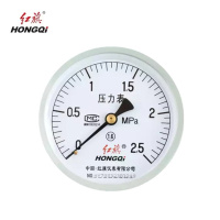 红旗 压力表轴向定制检测款Y150Z (压力值需备注) 块