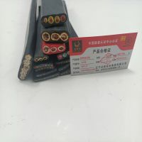 金电石 耐寒扁电缆 YFFB 10*1.5 米