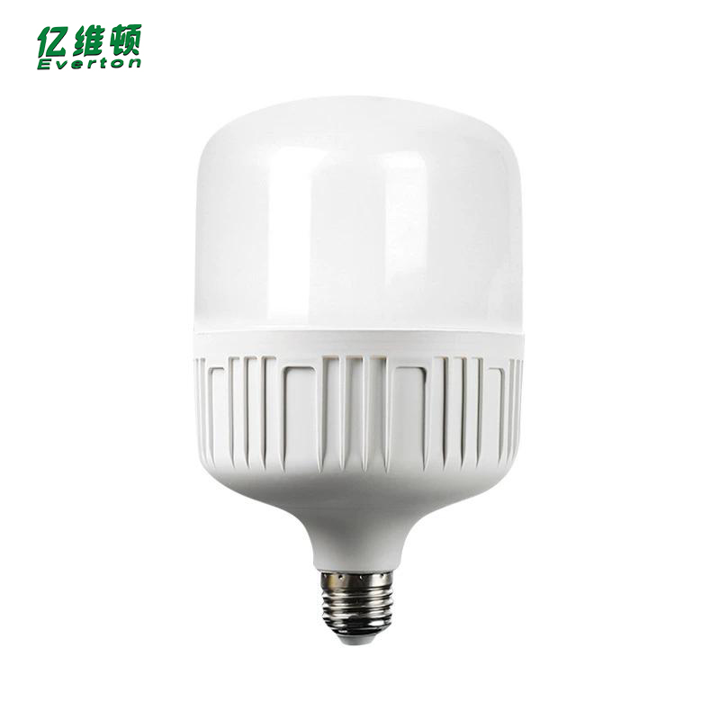 亿维顿 LED球泡灯 10W 个