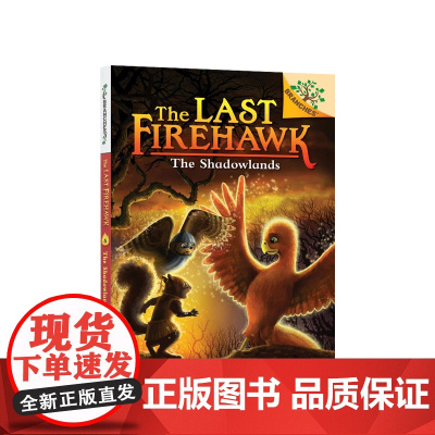 [英文原版 6-8岁]火鹰传奇 The Last Firehawk 阴影降落 The Shadowlands 分级阅读