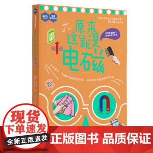 原来这就是电磁