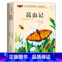 昆虫记 [正版]海底两万里注音版书原著 小学生版一二三年级阅读课外书世界名著经典必读老师带拼音儿童读物故事书6一8岁 湖