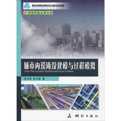 城市内涝淹没建模与过程模拟