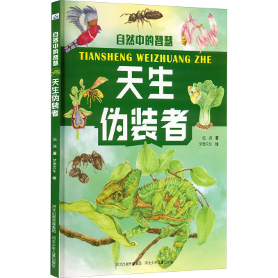 自然中的智慧-天生伪装者