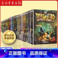 墨多多谜境冒险系列共24册 [正版]书店全套墨多多谜境冒险+不可思议事件簿系列 怪盗博物馆 穿越虫世纪 午夜游乐园 儿童