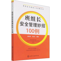 醉染图书班组长安全管理妙招100例9787122404