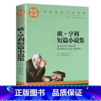 欧亨利短篇小说集 [正版]欧·亨利短篇小说选全集麦琪的礼物经典世界文学名著