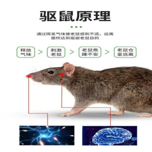 强力驱鼠丸除耗子臭丸樟脑丸防老鼠灭鼠汽车发动机舱专用驱赶克星3759A