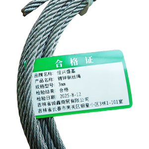 恒兴盛嘉 镀锌钢丝绳 米
