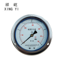 祥屹 耐震压力表轴向带边 YTN100ZT 0-4Mpa 块