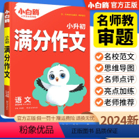 小升初满分作文 小学通用 [正版]2024版 小白鸥星空小升初数学易错题四五六年级刷题练习题知识点汇总思维强化训练小学毕